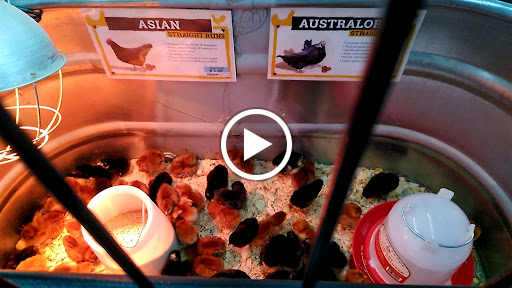 Home Improvement Store «Tractor Supply Co.», reviews and photos, 100 Tractor Ln, Gibsonia, PA 15044, USA