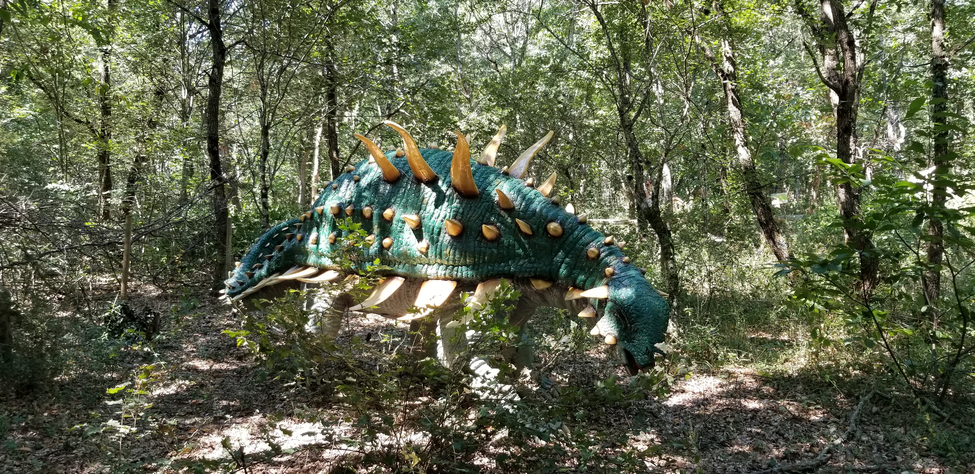 Photo n° 12 de l'avis de Laurent.u fait le 06/08/2018 à 17:07