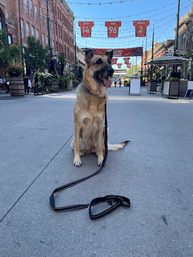 Shopping Mall «Larimer Square», reviews and photos, 1430 Larimer St, Denver, CO 80202, USA