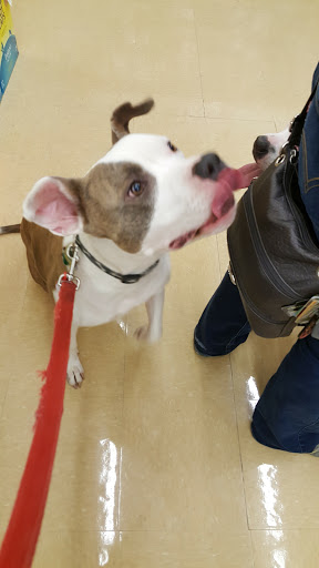 Pet Supply Store «Pet Supplies Plus», reviews and photos, 50633 Gratiot Ave, Chesterfield, MI 48051, USA