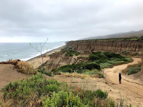 Trails beach