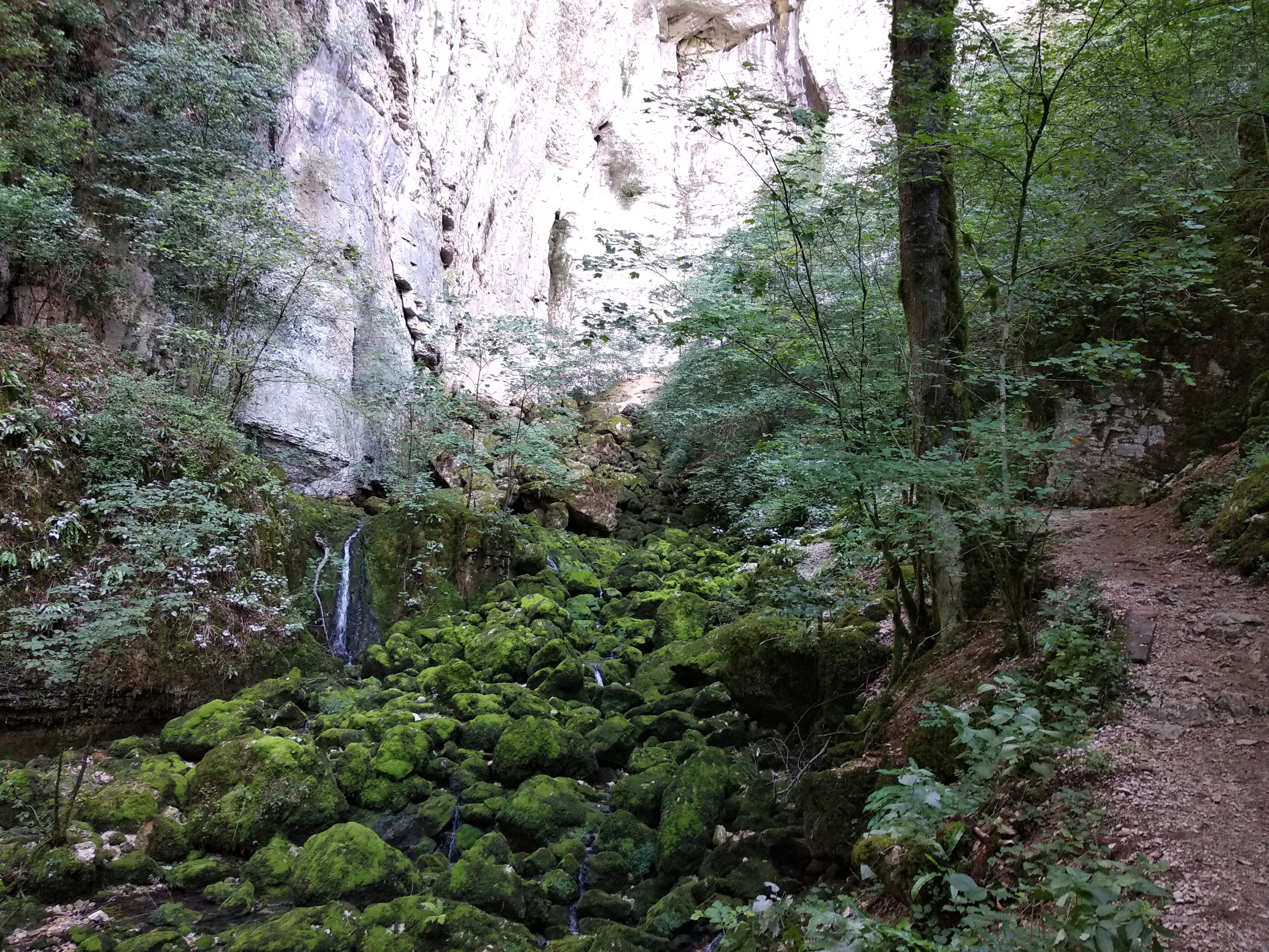 Photo n° 1 de l'avis de F.e fait le 22/08/2019 à 16:16
