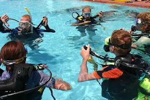 Lady of the Sea Diving Academy image