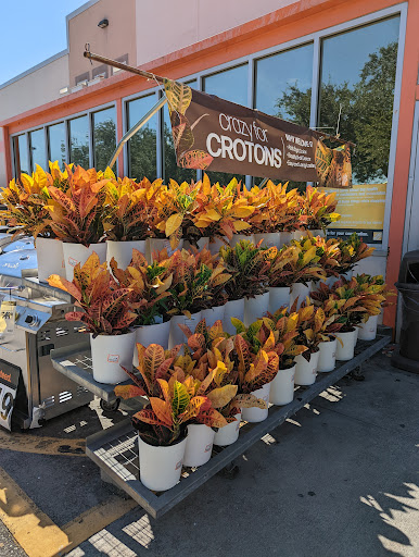 Home Improvement Store «The Home Depot», reviews and photos, 10151 Bloomingdale Ave, Riverview, FL 33569, USA