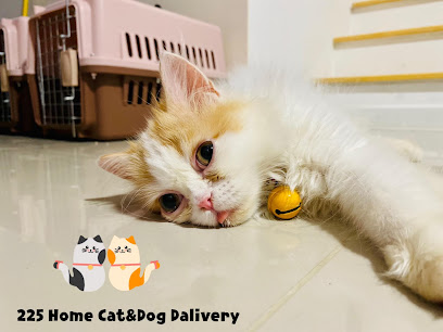 225 Home Cat&Dog Delivery