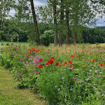 Photo n°8 de l'avis de Ute.a fait le 14/07/2021 à 13:03 sur le  Hofgut Held - Hotel à Rommersheim