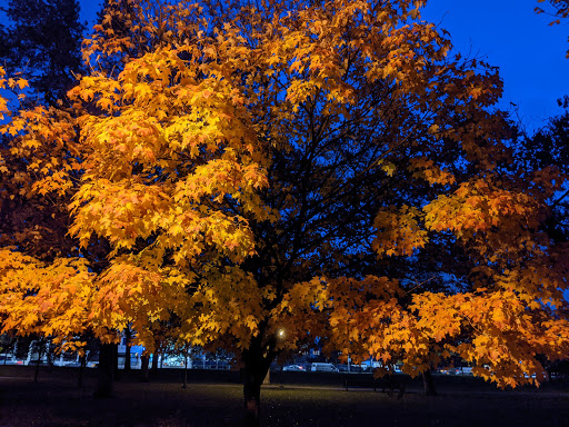 Park «Chicago Park District», reviews and photos, 5505 W Berteau Ave, Chicago, IL 60641, USA