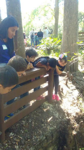 Nature Preserve «Crystal Springs Preserve», reviews and photos, 1609 Crystal Springs Rd, Crystal Springs, FL 33524, USA
