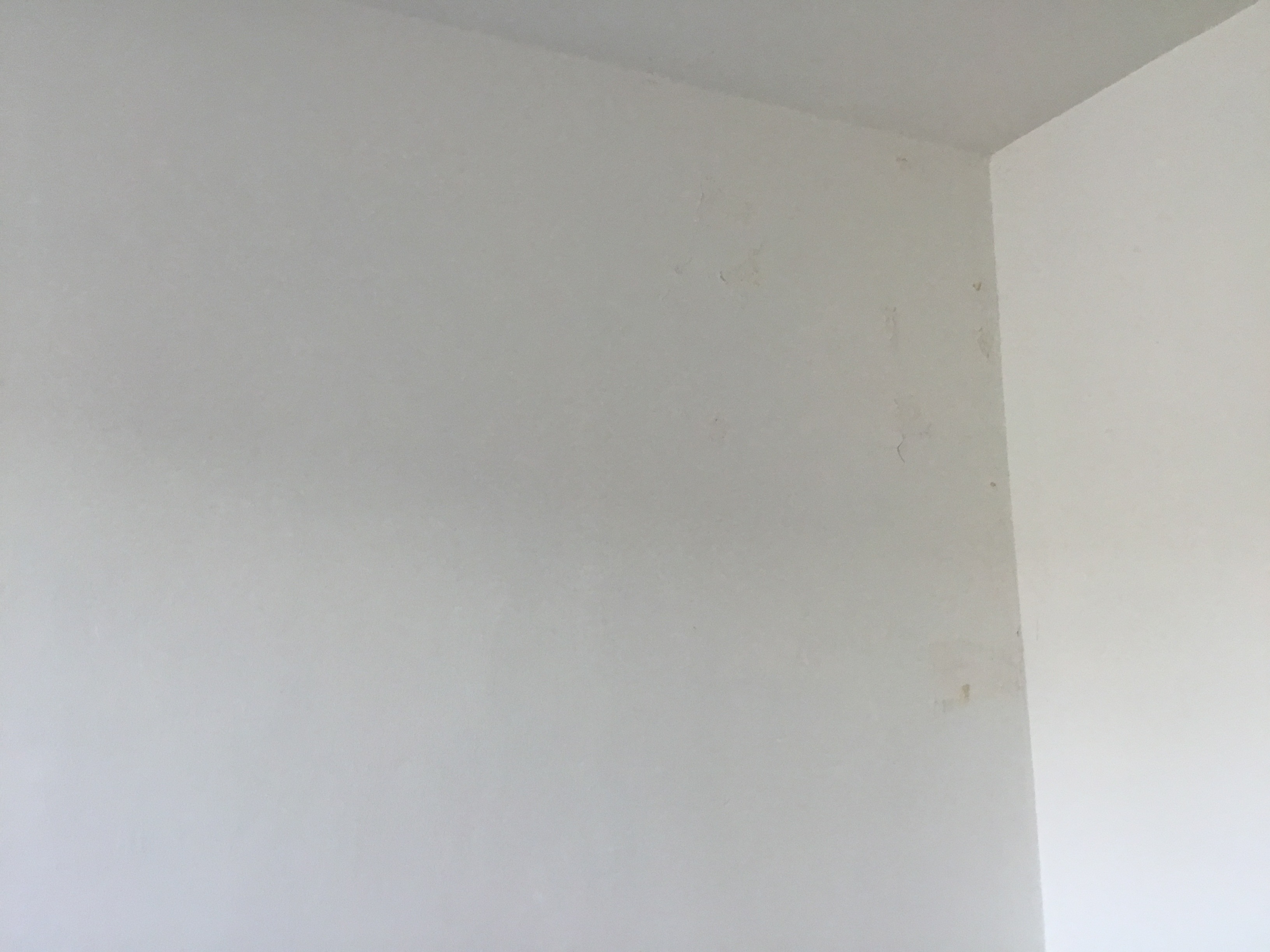 Photo n° 3 de l'avis de Ruddy.o fait le 09/03/2024 à 12:37