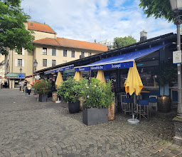 Fisch Witte photo