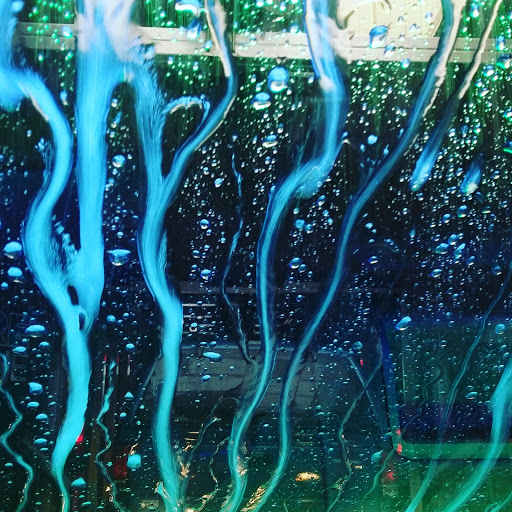 Car Wash «Mister Car Wash & Express Lube», reviews and photos, 1417 Manheim Pike, Lancaster, PA 17601, USA