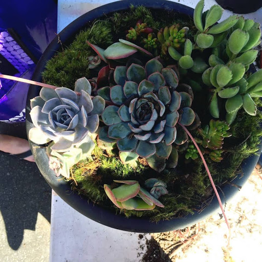 Hardware Store «San Andres Hardware», reviews and photos, 635 W Micheltorena St, Santa Barbara, CA 93101, USA