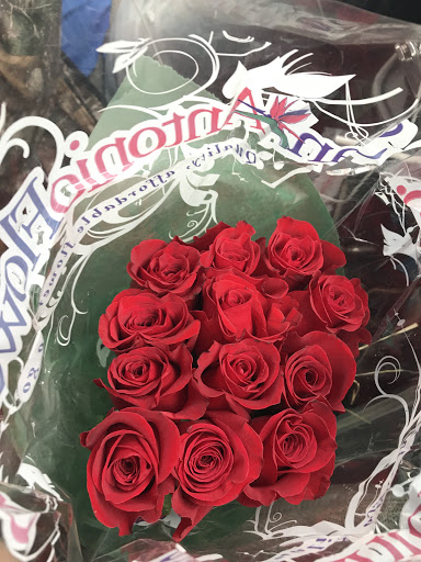 Florist «San Antonio Flower Co», reviews and photos, 7538 Broadway St, San Antonio, TX 78209, USA