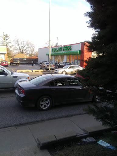 Dollar Store «Dollar Tree», reviews and photos, 333 Mannheim Rd B, Bellwood, IL 60104, USA