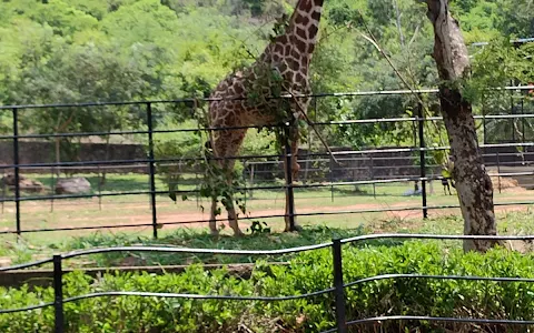 Zoo Front Gate image