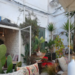 Photo n°1 de l'avis de Claudia.i fait le 29/08/2023 à 20:47 sur le  Da Franco relax and more à Ceglie Messapica