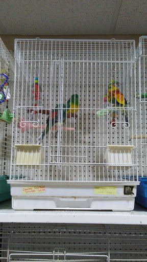 Pet Store «Pet Cove», reviews and photos, 820 E Center St, Kingsport, TN 37660, USA