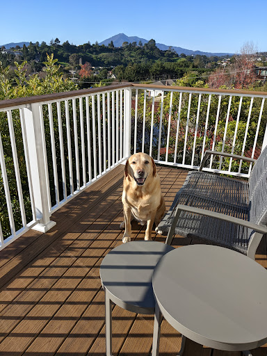 Deck Builder «Clough Construction», reviews and photos, 4220 Redwood Hwy, San Rafael, CA 94903, USA