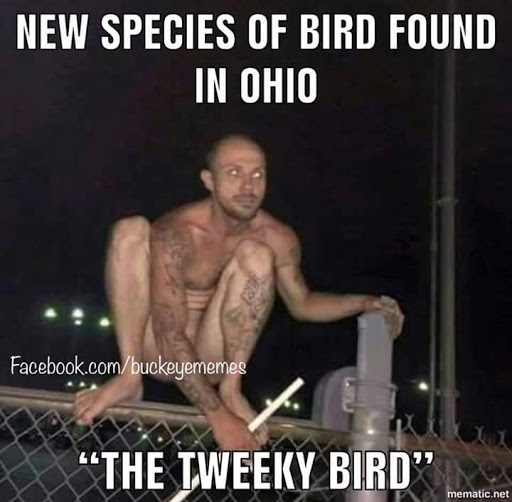 Department Store «Walmart Supercenter», reviews and photos, 300 Iowa Speedway Dr, Newton, IA 50208, USA