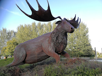 Coonagh Roundabout Elk