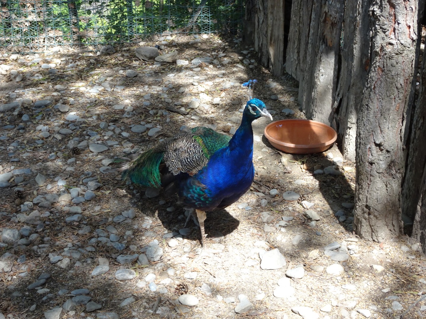 Photo n° 1 de l'avis de Romain.o fait le 17/08/2017 à 11:56