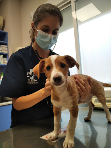 Centro Veterinario Fuensalida en Fuensalida