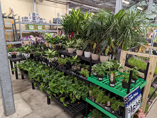 Department Store «Walmart Supercenter», reviews and photos, 33 Sherwood Dr, Tilton, NH 03276, USA