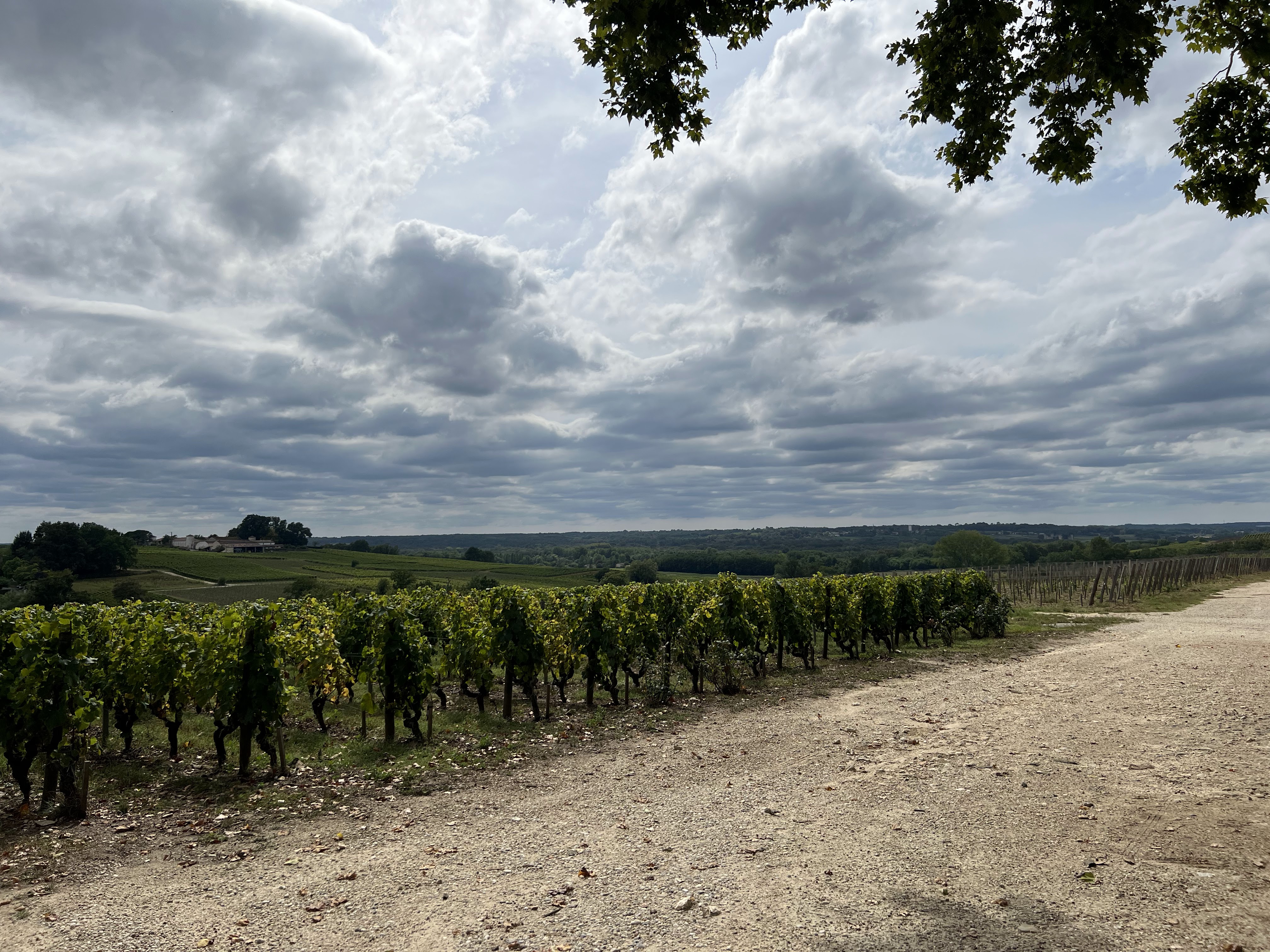 Photo n° 2 de l'avis de jean-philippe.O fait le 15/08/2023 à 22:28