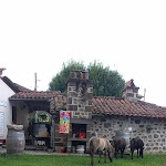Photo n° 1 de l'avis de Christine.o fait le 10/08/2023 à 04:44 pour Étang De Marfons à Polminhac