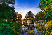 Chris Howe Photography - Photo 5 - Car repair in , Lancaster