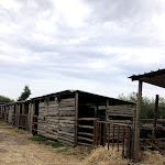 Photo n°13 de l'avis de Ivana.m fait le 02/10/2021 à 16:55 sur le  Asd C'era Una Volta il West à Fiumicino