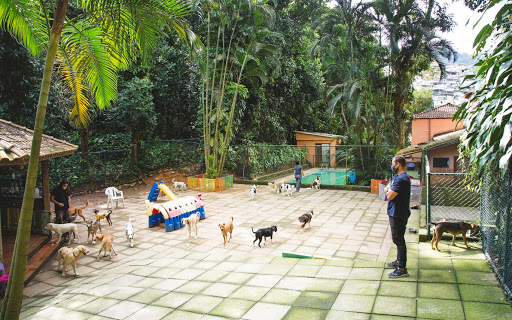 Hotéis de animais de estimação Rio De Janeiro