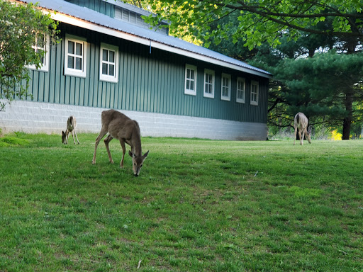 Public Golf Course «Algonkian Golf Course», reviews and photos, 47001 Fairway Dr, Sterling, VA 20165, USA
