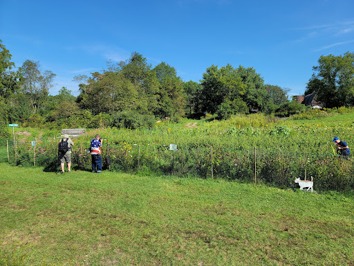 Tourist Attraction «Sussex County Sunflower Maze», reviews and photos, 101 Co Rd 645, Sandyston, NJ 07826, USA