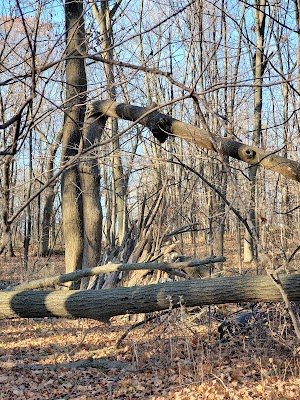 Rice Lake State Park - photo 33