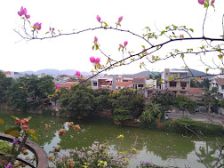 An Cựu River Homestay