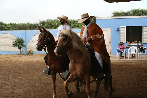 Alcor Show de Caballos Peruanos de Paso