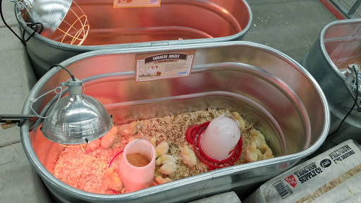 Home Improvement Store «Tractor Supply Co.», reviews and photos, 360 Miracle Mile, Lebanon, NH 03766, USA