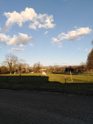 DAUPHIBLANC à Soleymieu