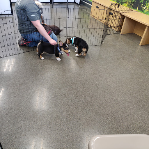 Pet Supply Store «Petco Animal Supplies», reviews and photos, 7215 170th Ave NE #115, Redmond, WA 98052, USA