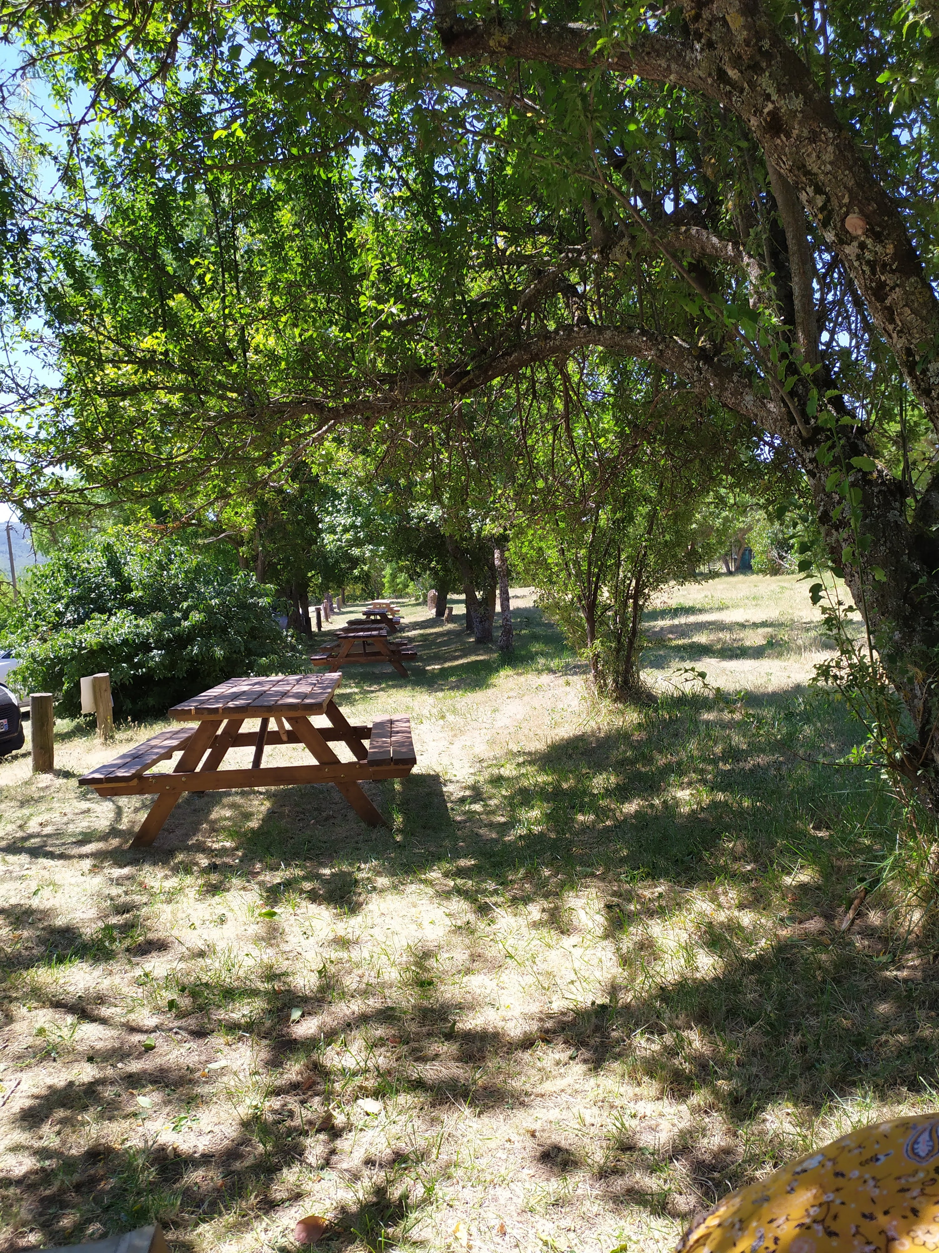 Photo n° 1 de l'avis de Flo.. fait le 14/07/2020 à 09:59