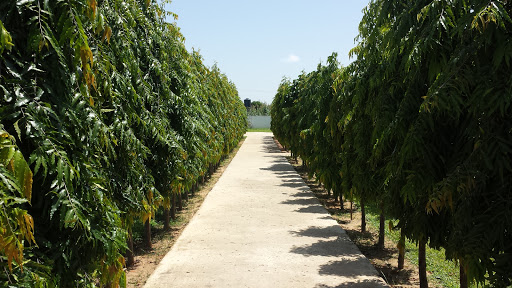 Happy Island Garden Sokoto, Nigeria, Tourist Attraction, state Kebbi