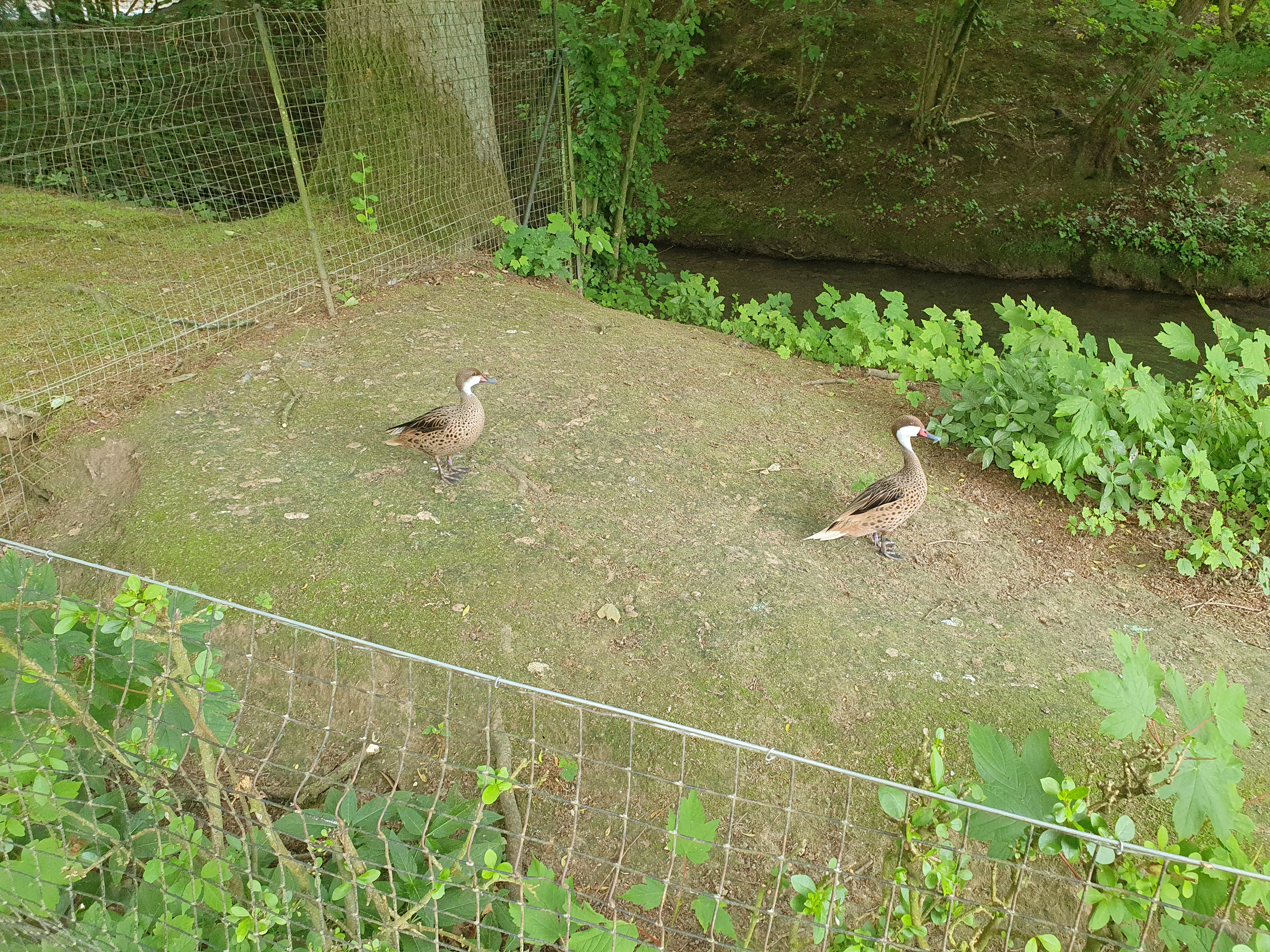 Photo n° 4 de l'avis de VIRGINIE.A fait le 10/06/2022 à 13:51