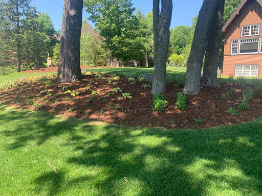 Landscaper «KG Landscape Management», reviews and photos, 10041 Polk St NE, Minneapolis, MN 55434, USA