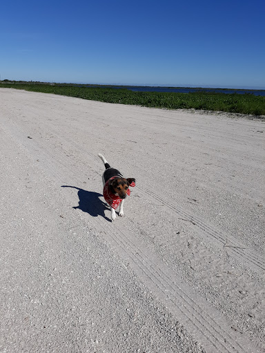 CowTown Animal Hospital image