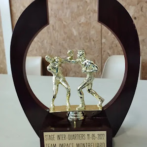 Pont-Sports 17 Rue Jean Néri, 25200 Bethoncourt, France