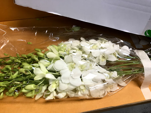 Florist «Floreria Alcatraz», reviews and photos, 159 Aldine Bender Rd #174, Houston, TX 77060, USA