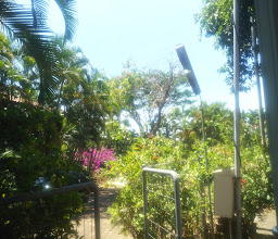 Sativa Sanggraloka photo