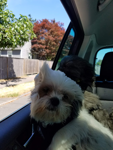 Park «Alberta Park», reviews and photos, 1905 NE Killingsworth St, Portland, OR 97211, USA