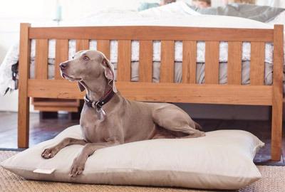 Bedroom Furniture Store «The Futon Shop», reviews and photos, 2724 Santa Rosa Ave, Santa Rosa, CA 95403, USA